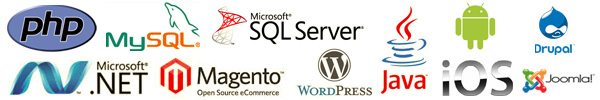 Mobile Web Application Development at Its Peak In Tampa