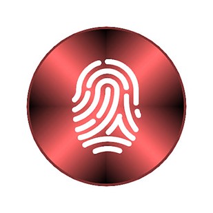 Role Of Fingerprint Verification Software In Extenuating Identity Theft