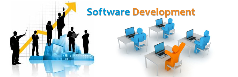 software development