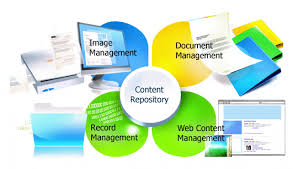 What Should You Know About Content Management Software?