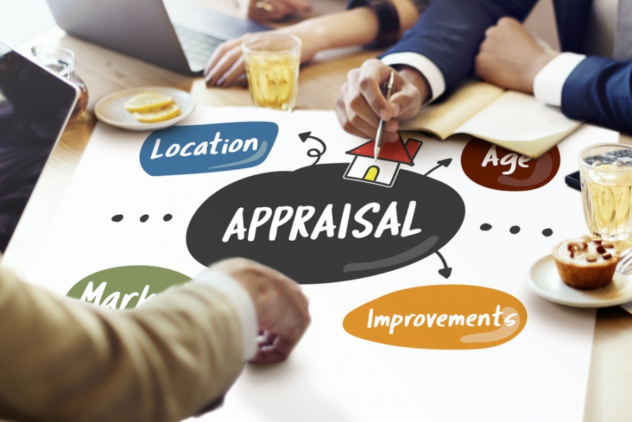 How Much Does The Appraisal Of A House and A Land Plot Cost, What Is Needed For It?